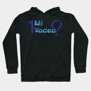 Echad Mi Yodea - Funny Passover Seder Tshirt design Hoodie